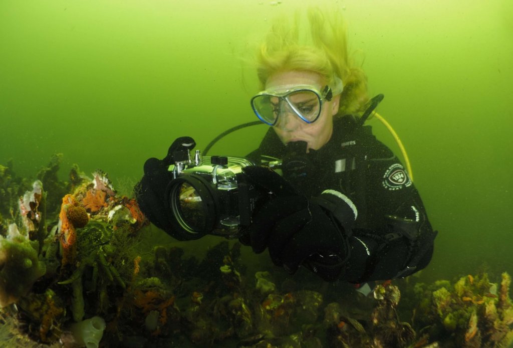 Specialisatie onderwaterfotografie