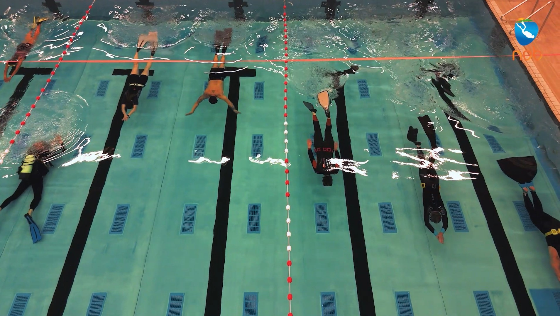 Crossover 1* Freedive Pool Instructeur - Nederlandse Onderwatersport Bond